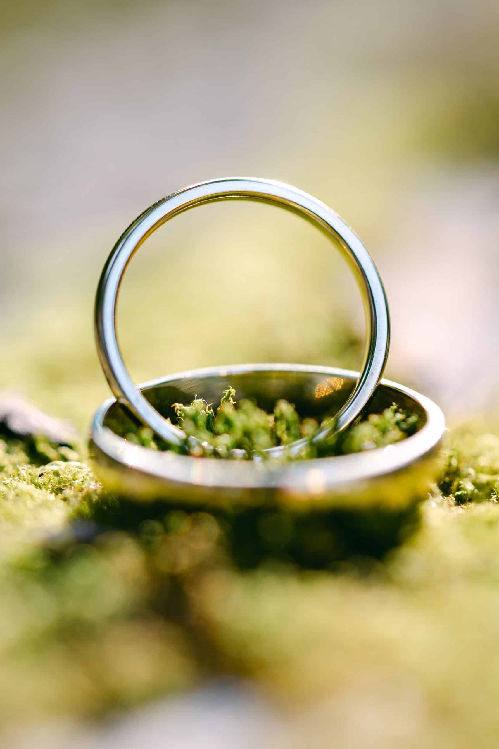 Zwei Eheringe liegen auf Moos – Detailaufnahme bei der Hochzeit im Schloss Vasoldsberg