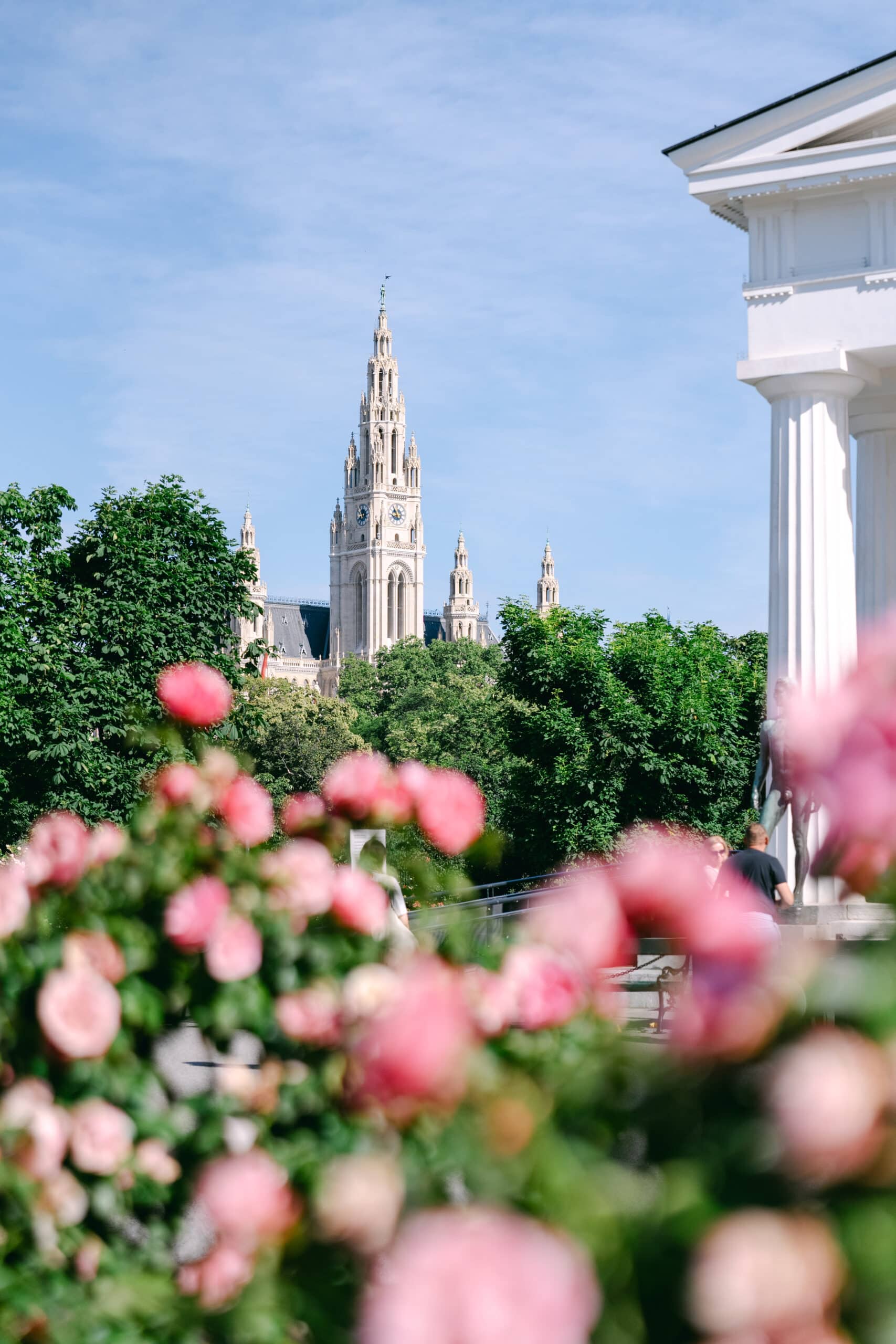 Rathaus mit Rosengarten im Volksgarten, Wien